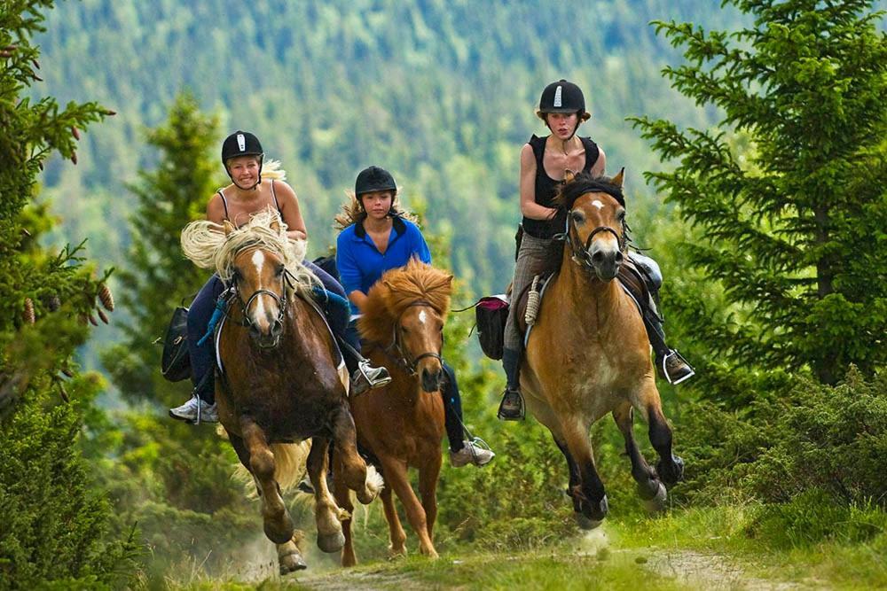 Rondane River Lodge - Rondane Gjestegard Enden Экстерьер фото