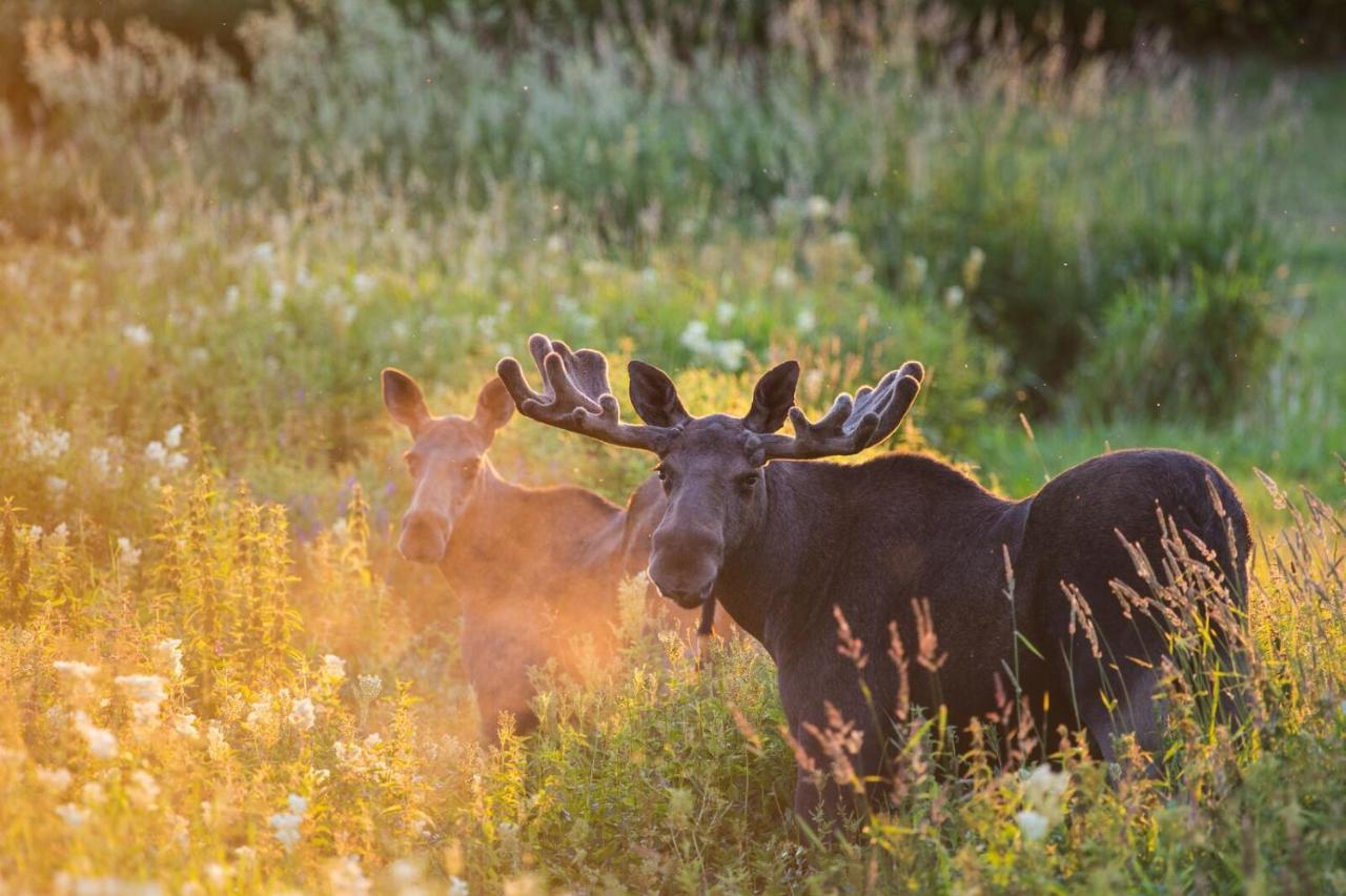 Rondane River Lodge - Rondane Gjestegard Enden Экстерьер фото