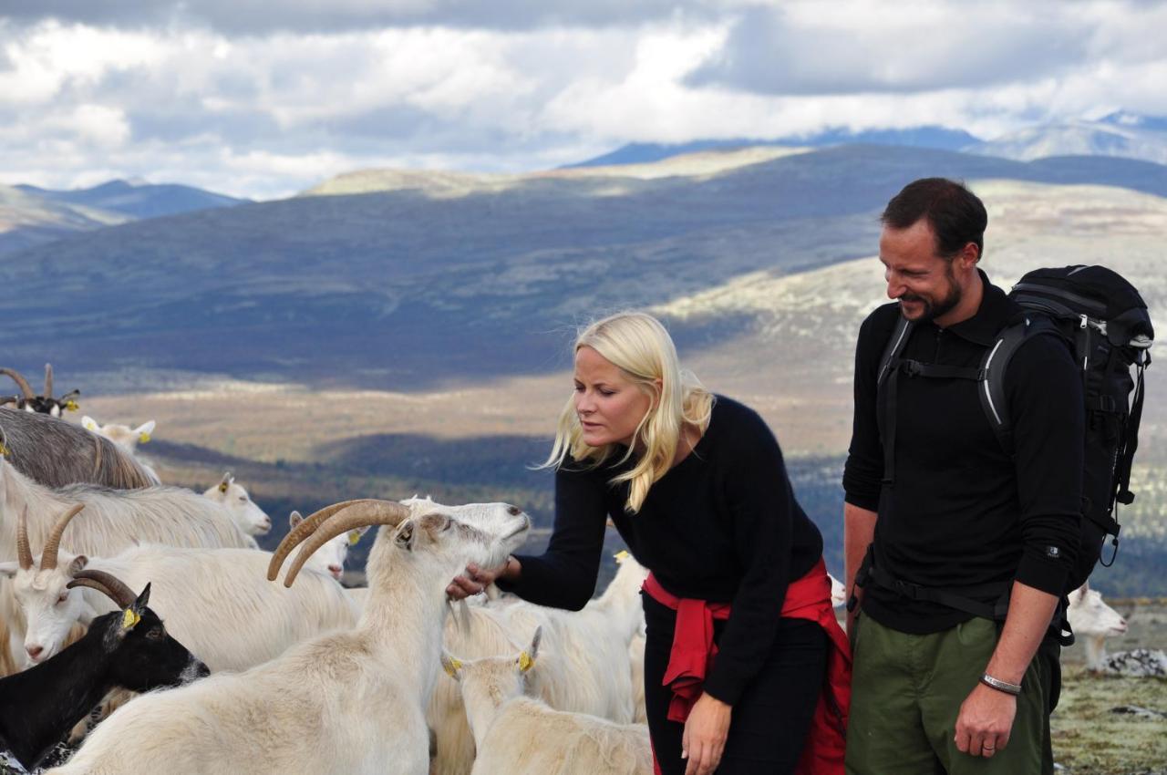 Rondane River Lodge - Rondane Gjestegard Enden Экстерьер фото
