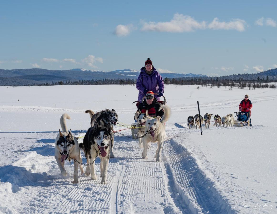 Rondane River Lodge - Rondane Gjestegard Enden Экстерьер фото